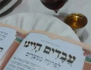 עשר המכות שלי בחופשת פסח