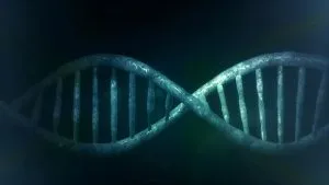 תסמונת מרטין בל - האיקס השביר